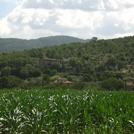 Couette-café Della Luna