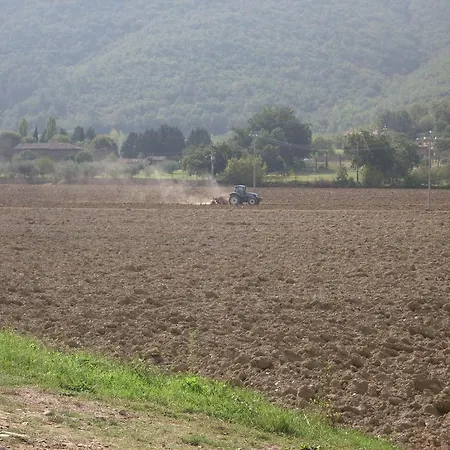 Della Luna Couette-café